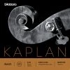 D'Addario Kaplan Bass Set
