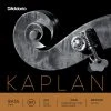 D'Addario Kaplan Solo Bass Set, D-Extension