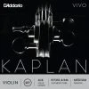 D'Addario Kaplan Vivo Violin Set