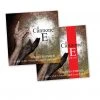 Violin Strings Larsen Il Cannone Violin E String