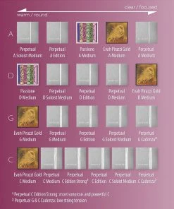 Pirastro Perpetual Cello G String -5 Options Cello Strings