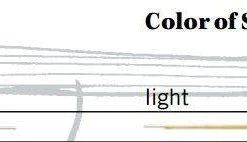 Thomastik Gold E Violin Strings