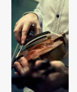 ArcRest Shoulder Rest Thin Set