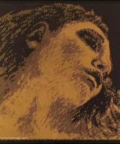 Pirastro Evah Pirazzi Gold Violin E, Steel Violin Strings