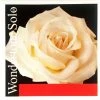 Pirastro Wondertone Solo Silvery Steel E String Pirastro Violin Strings